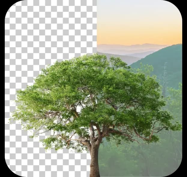 Remove Unwanted People & Objects